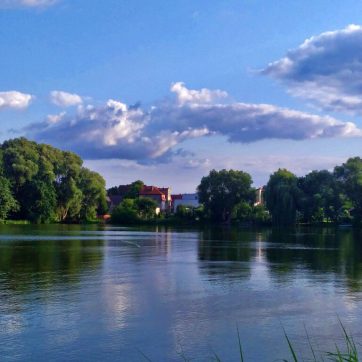 The Importance of Finding Joy in The Small Things