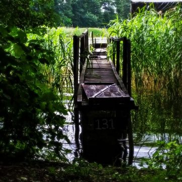 What to know before visiting the woods: My experience with a nymph tick