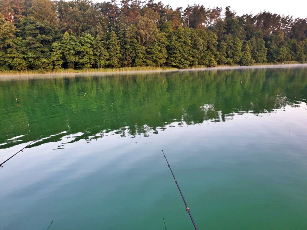 What to do in Walcz: Patient fishermen and the charm of catching fish